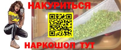 мдпв Гатчина
