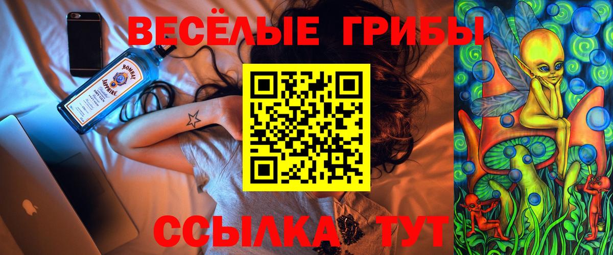 Псилоцибиновые грибы прущие грибы Павловский Посад