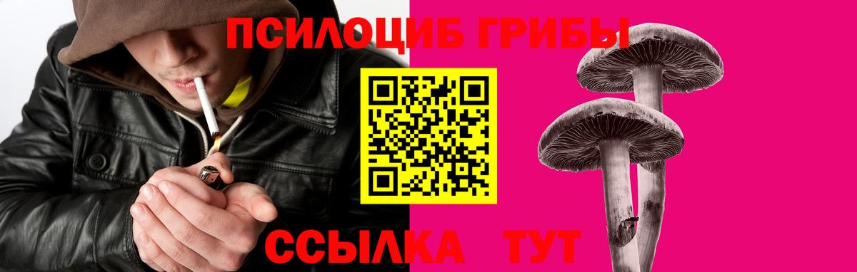Павловский Посад  Галлюциногенные грибы мухоморы  Вход с VPN  Галлюциногенные грибы прущие грибы 